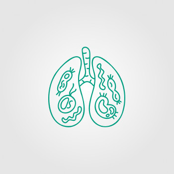 Sistema Respiratorio